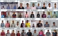 FGE desarticula 13 bandas dedicadas al abigeato en  nueve municipios de Chiapas en lo que va de 2022 