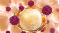 ¿Qué es el adenovirus 41, el posible responsable de la hepatitis aguda en niños? 