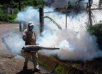 Suman 49 casos de dengue en Chiapas