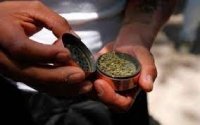 Corte declara inconstitucional penalizar la posesión de más de 5 gramos de marihuana 
