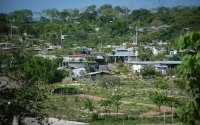 Recupera Fiscalía otras 90 hectáreas invadidas en Chiapas