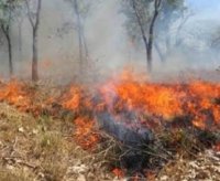 Solo las lluvias podrán acabar con los incendios de Chiapas