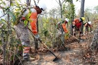 En Chiapas, mantienen acciones de prevención y combate de incendios    