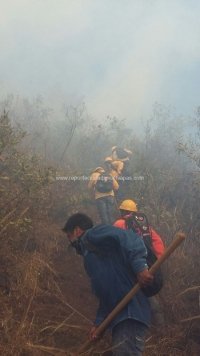 Capacitan a funcionarios de San Cristóbal previo a la temporada de estiaje, para combatir incendios