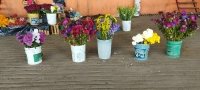 En San Cristóbal de Las Casas.- Floreras invitan a realizar compras de día de muertos en el mercado del norte