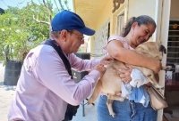 Ante altas temperaturas el riego de la Rabia es mayor, por lo que deben ser vacunados perros y gatos