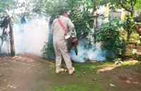 Chiapas, más de un año sin notificar defunciones por dengue: Dr. Pepe Cruz