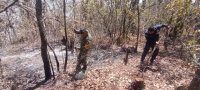 Grupo Interinstitucional sofoca incendio de pastizal en zona Norte-Oriente de SCLC