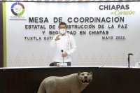 Registra Chiapas 24 horas de saldo blanco en delitos de alto impacto 
