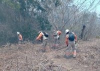 En Chiapas se mantienen estrategias de prevención y combate de incendios forestales 