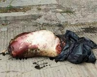 Hallazgo de cuerpo humano destazado en Tuxtla Gutiérrez  