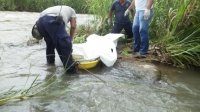 Recuperan cuerpo de una persona en completo estado de descomposición en el rio Grijalva