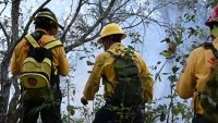 Durante 2022 se han protegido más de 900 mil hectáreas de afectaciones por incendios forestales en Chiapas