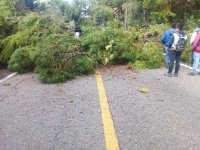 Tzeltales dejan libre carretera en Oxchuc que mantenían bloqueada desde hace días