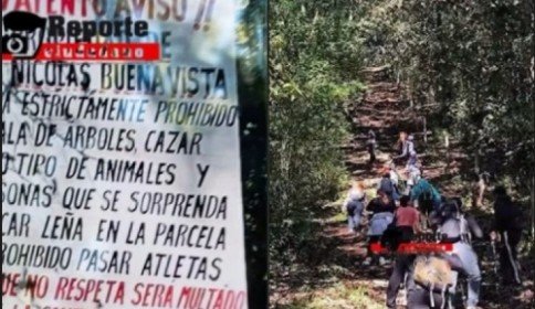 Comunidad de Zinacantán restringe acceso al Árbol Hueco por considerarlo sitio sagrado