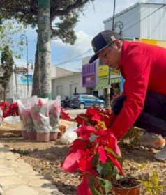 San Cristóbal embellece sus principales accesos con motivo a la llegada de la navidad