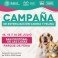 Gobierno de San Cristóbal y Secretaría de Salud impulsan campaña gratuita de esterilización canina y felina