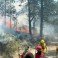 Incendios forestales en Chiapas hay seis focos activos