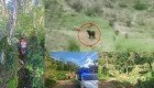 Observan huellas de felinos en inmediaciones de escuelas en Bochil