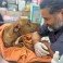 CECAM brinda atención médica a canino rescatado tras incidente vial en San Cristóbal