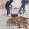 Atiende el SAPAM San Cristóbal reportes por drenaje colapsado en la colonia Las Minas
