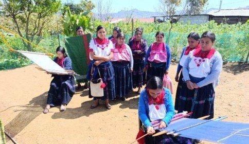 Mujeres tsotsiles exigen pago de más de medio millón de pesos por deuda, en Aldama