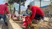 San Crist&oacute;bal embellece sus principales accesos con motivo a la llegada de la navidad