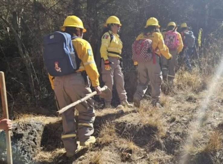 Refuerzan coordinaci&oacute;n interinstitucional para prevenir incendios forestales SCLC