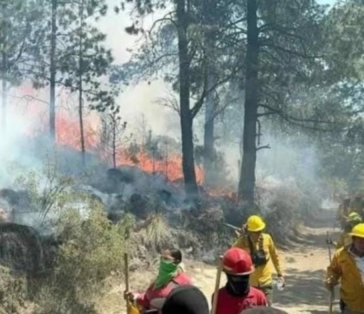 Incendios forestales en Chiapas hay seis focos activos