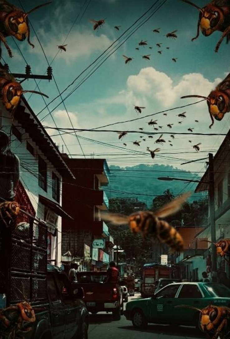 Un saldo de tres personas lesionadas en ataque de enjambre de abejas en Yajal&oacute;n