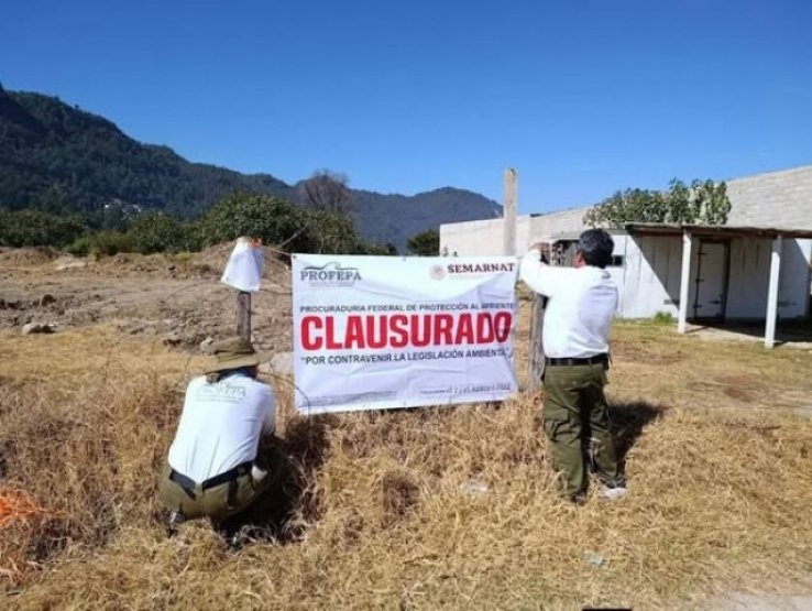 PROFEPA suspende trabajos irregulares dentro de &aacute;rea natural protegida en San Crist&oacute;bal