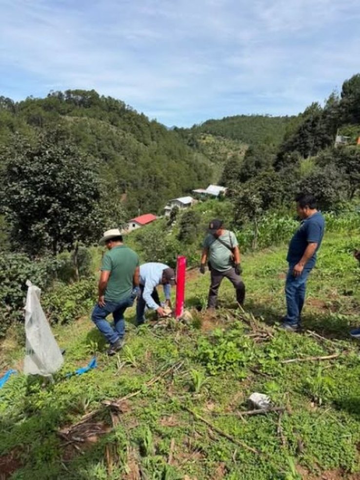 Fortalecen protecci&oacute;n de la Reserva Quenv&oacute; mediante verificaci&oacute;n y acciones de conservaci&oacute;n